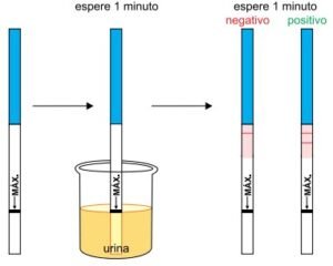 Como pode a menstruação atrasar e o teste de gravidez dar negativo ...